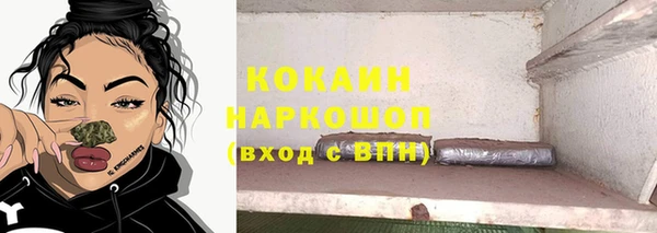 бошки Алексин