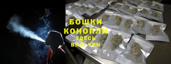 бошки Алексин