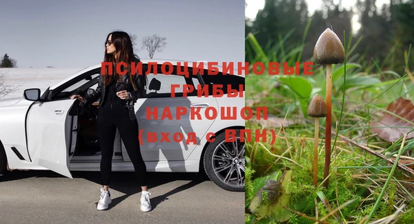 кокс Алзамай
