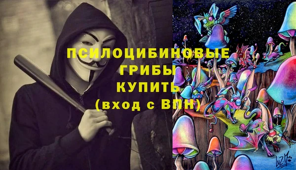 прущая мука Абаза