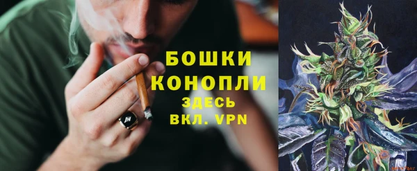 молекула духа Сатка