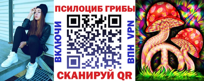 Галлюциногенные грибы Psilocybe Кандалакша