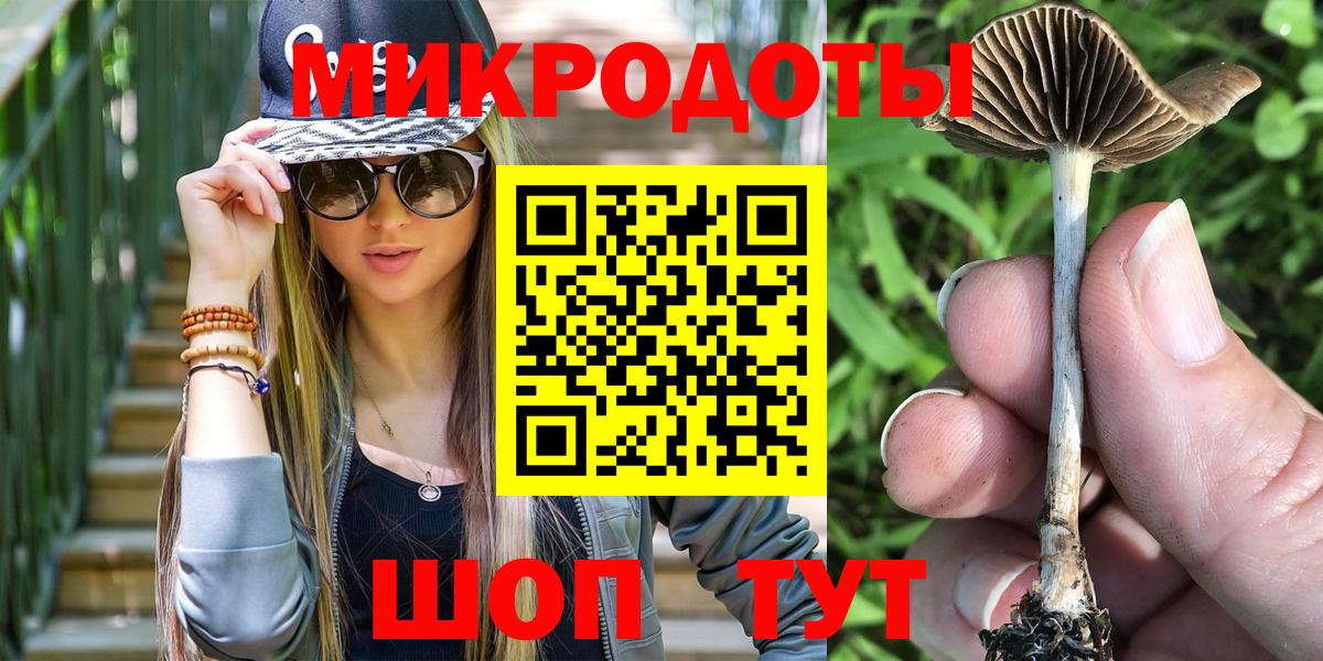 Галлюциногенные грибы Psilocybe  Вход с VPN  Кандалакша 
